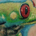 tattoo galleries/ - TREE FROG
